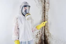 Best Mold Remediation for Healthcare Facilities  in Bryant, AR